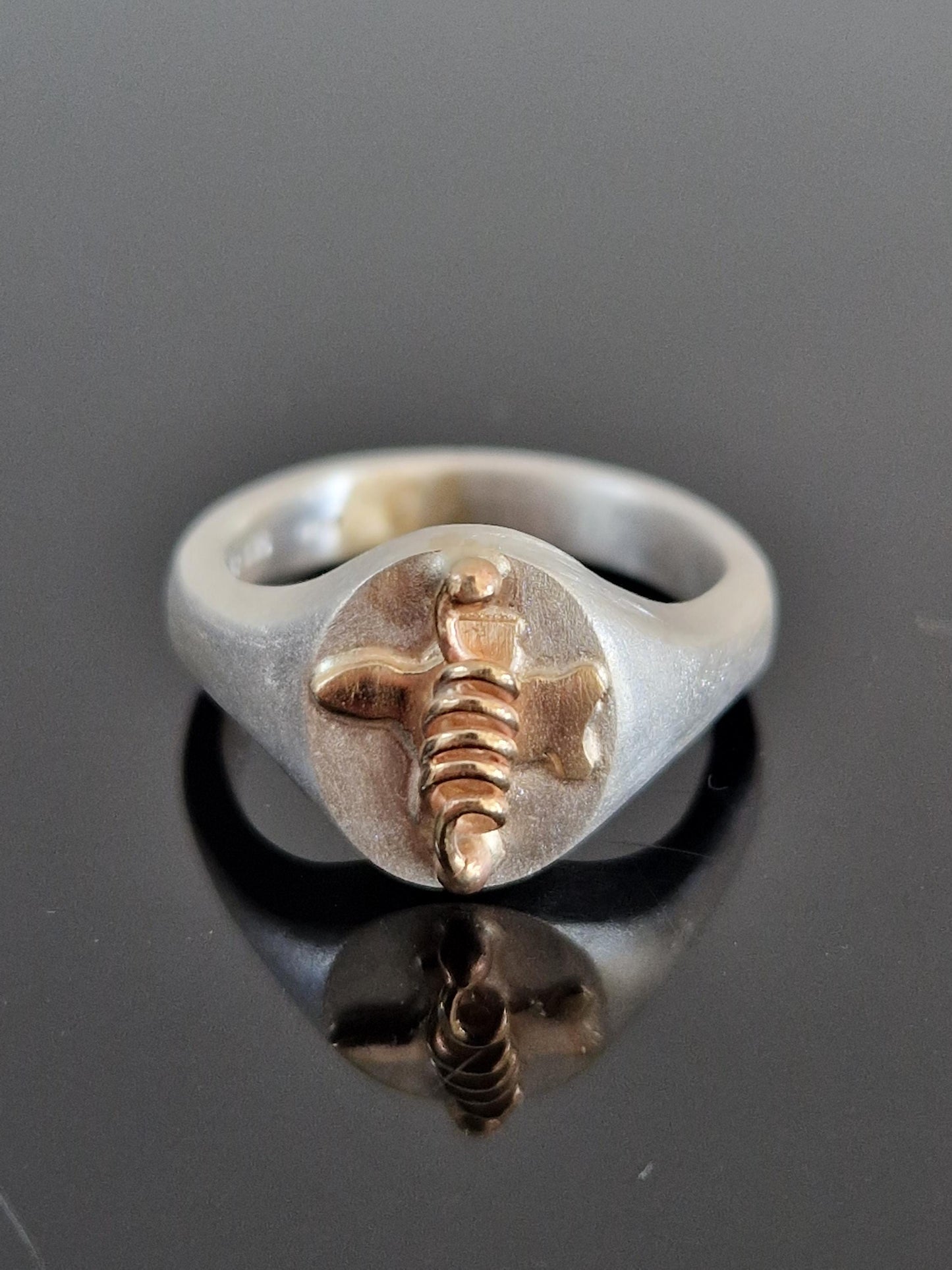 Rogue's Signet Ring Doctor Who