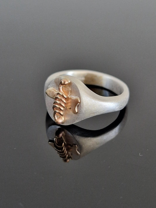 Rogue's Signet Ring Doctor Who